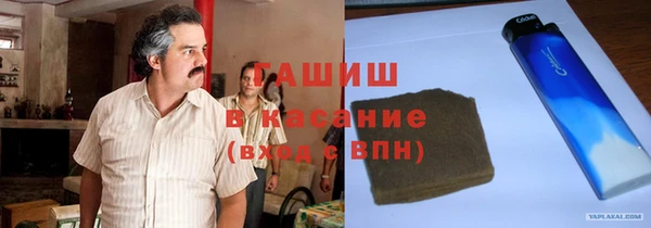 эйфоретик Няндома