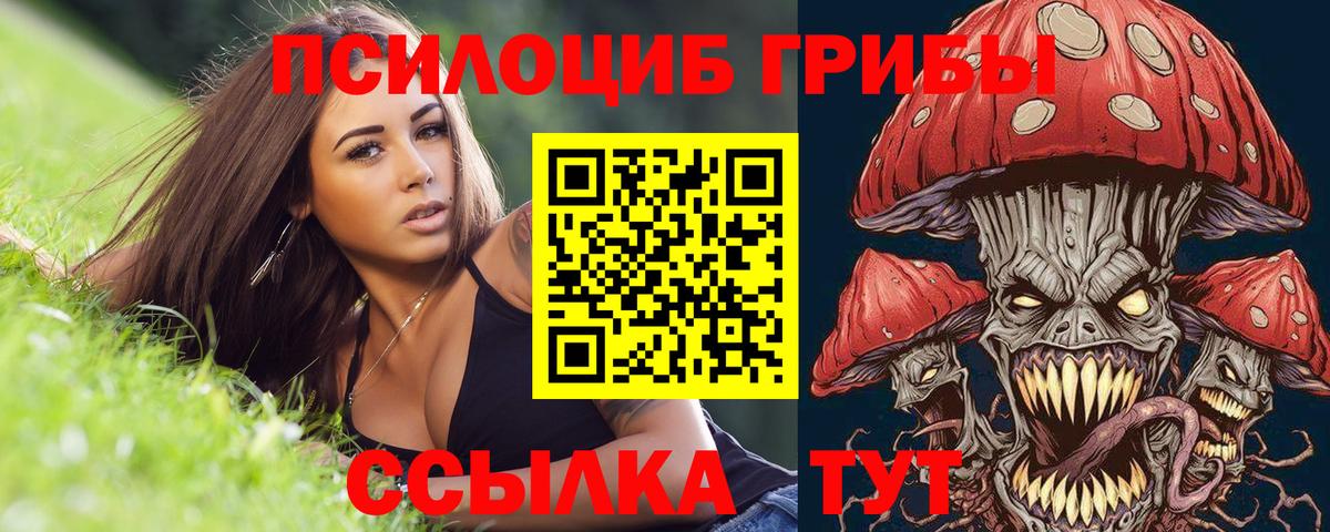 Прокопьевск  Галлюциногенные грибы GOLDEN TEACHER  Вход с VPN 