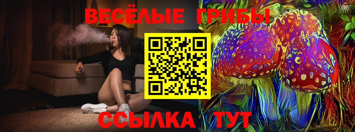 Галлюциногенные грибы Psilocybe Прокопьевск